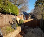 Hedge trimming Winchester